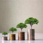 El impacto de la economía verde en el medio ambiente: todo lo que debes saber