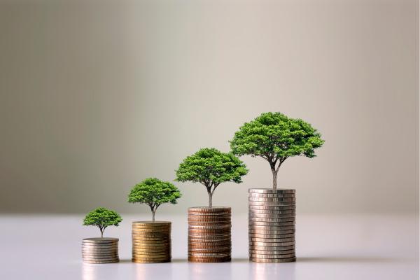 El impacto de la economía verde en el medio ambiente: todo lo que debes saber
