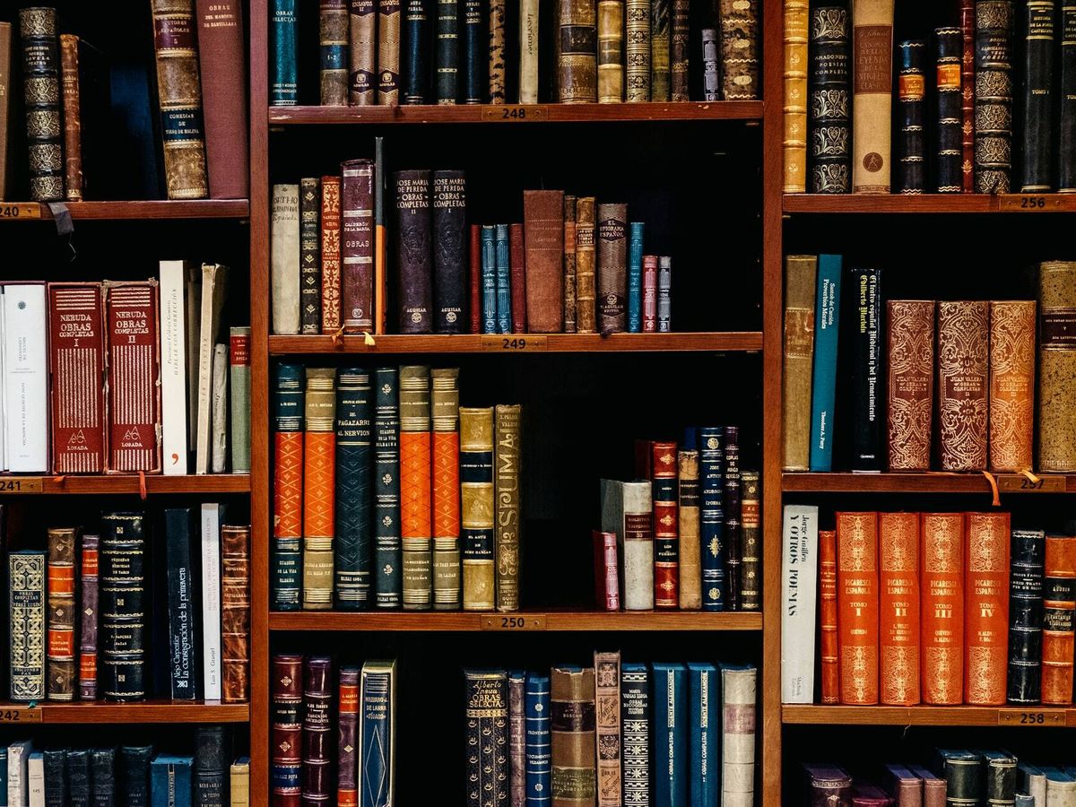 Estanteria con libros fisicos