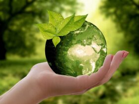 Desarrollo Sostenible: El Futuro de Nuestro Planeta