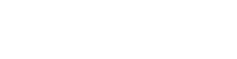 Vikinguard | Revista de Marketing Digital