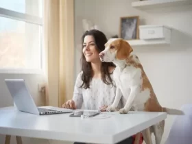 Consejos clave para optimizar tu home office: Aumenta la productividad desde casa