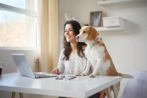 Consejos clave para optimizar tu home office: Aumenta la productividad desde casa