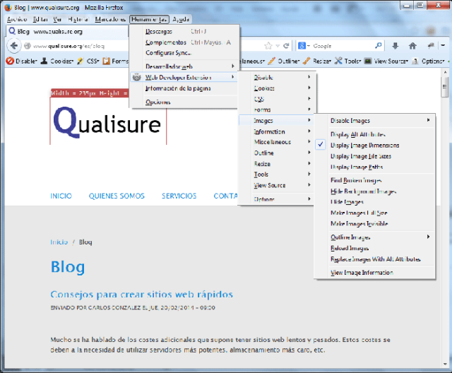 reducir pagina web